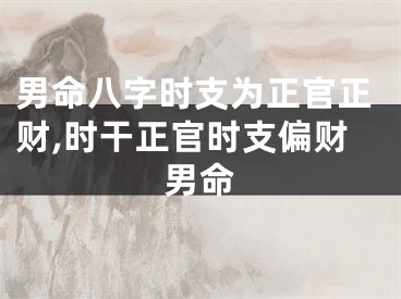 男命八字时支为正官正财,时干正官时支偏财男命