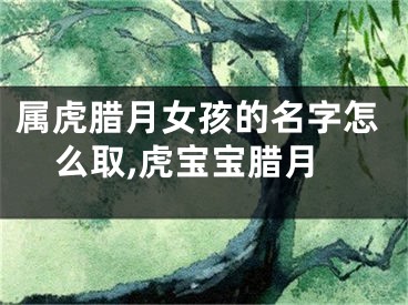 属虎腊月女孩的名字怎么取,虎宝宝腊月