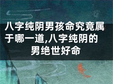 八字纯阴男孩命究竟属于哪一道,八字纯阴的男绝世好命