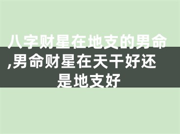八字财星在地支的男命,男命财星在天干好还是地支好