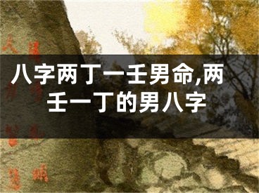 八字两丁一壬男命,两壬一丁的男八字