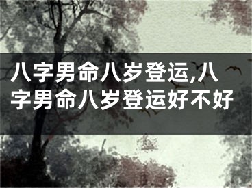 八字男命八岁登运,八字男命八岁登运好不好