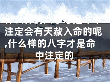 什么样的八字才是命中注定会有天赦入命的呢,什么样的八字才是命中注定的