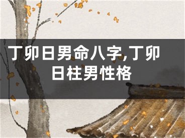 丁卯日男命八字,丁卯日柱男性格