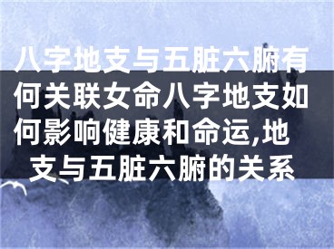 八字地支与五脏六腑有何关联女命八字地支如何影响健康和命运,地支与五脏六腑的关系