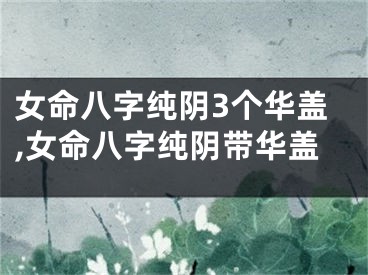 女命八字纯阴3个华盖,女命八字纯阴带华盖