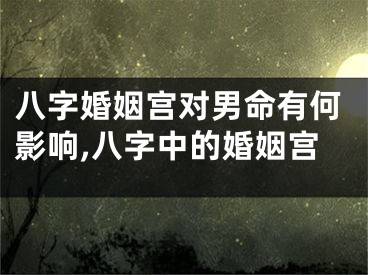 八字婚姻宫对男命有何影响,八字中的婚姻宫