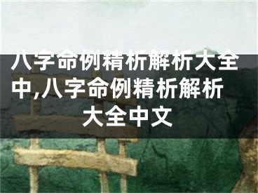 八字命例精析解析大全中,八字命例精析解析大全中文