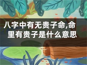 八字中有无贵子命,命里有贵子是什么意思
