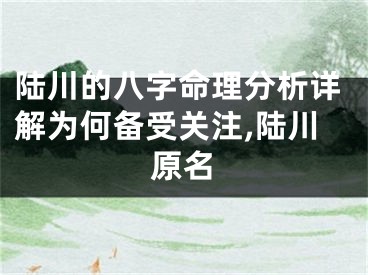 陆川的八字命理分析详解为何备受关注,陆川原名