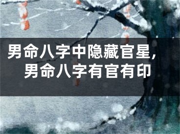男命八字中隐藏官星,男命八字有官有印