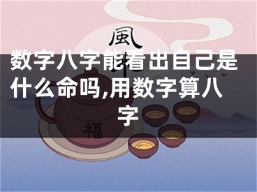 数字八字能看出自己是什么命吗,用数字算八字