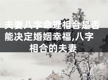 夫妻八字命理相合是否能决定婚姻幸福,八字相合的夫妻