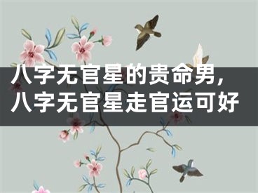 八字无官星的贵命男,八字无官星走官运可好