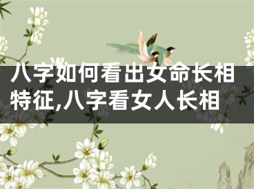 八字如何看出女命长相特征,八字看女人长相