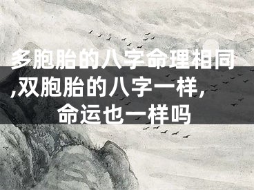 多胞胎的八字命理相同,双胞胎的八字一样,命运也一样吗