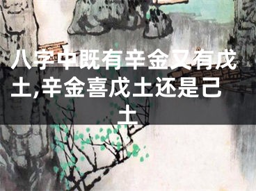 八字中既有辛金又有戊土,辛金喜戊土还是己土