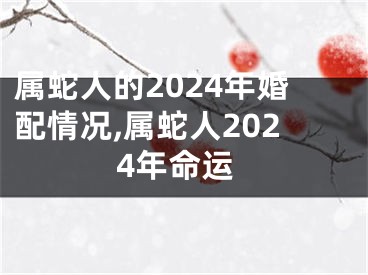 属蛇人的2024年婚配情况,属蛇人2024年命运