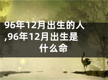 96年12月出生的人,96年12月出生是什么命