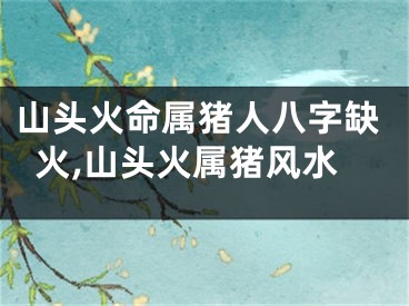 山头火命属猪人八字缺火,山头火属猪风水