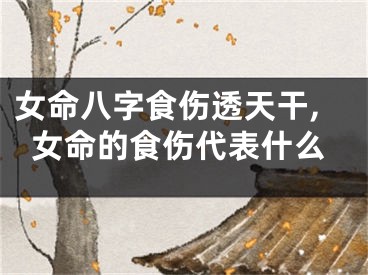 女命八字食伤透天干,女命的食伤代表什么