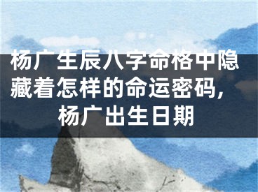 杨广生辰八字命格中隐藏着怎样的命运密码,杨广出生日期