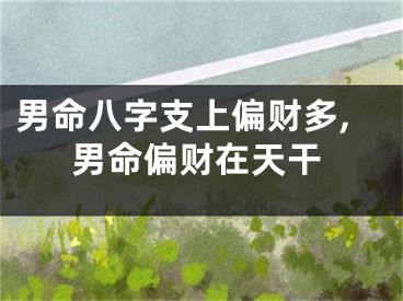 男命八字支上偏财多,男命偏财在天干