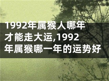1992年属猴人哪年才能走大运,1992年属猴哪一年的运势好