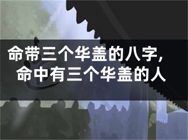 命带三个华盖的八字,命中有三个华盖的人