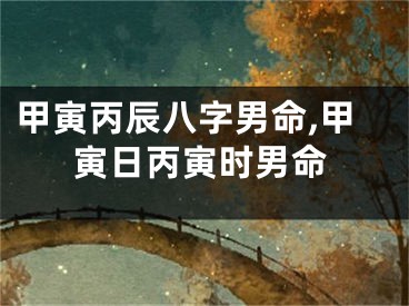 甲寅丙辰八字男命,甲寅日丙寅时男命