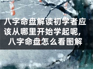 八字命盘解读初学者应该从哪里开始学起呢,八字命盘怎么看图解