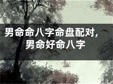 男命命八字命盘配对,男命好命八字