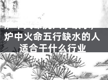 炉中火命虎八字缺水,炉中火命五行缺水的人适合干什么行业