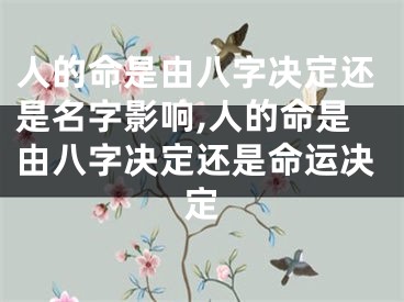 人的命是由八字决定还是名字影响,人的命是由八字决定还是命运决定