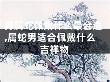 男属蛇佩戴什么最合适,属蛇男适合佩戴什么吉祥物