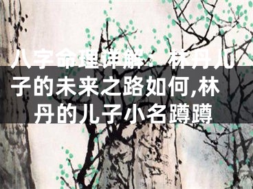 八字命理详解：林丹儿子的未来之路如何,林丹的儿子小名蹲蹲
