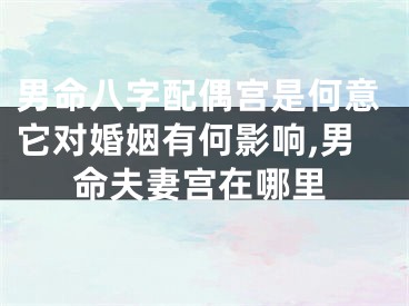 男命八字配偶宫是何意它对婚姻有何影响,男命夫妻宫在哪里