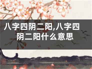 八字四阴二阳,八字四阴二阳什么意思