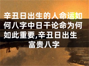 辛丑日出生的人命运如何八字中日干论命为何如此重要,辛丑日出生富贵八字
