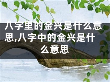 八字里的金兴是什么意思,八字中的金兴是什么意思