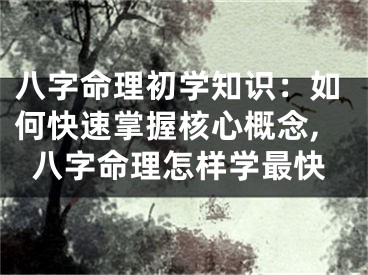 八字命理初学知识：如何快速掌握核心概念,八字命理怎样学最快