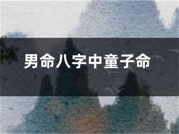 男命八字中童子命