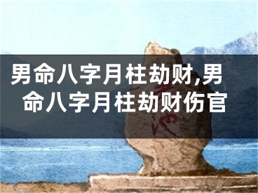男命八字月柱劫财,男命八字月柱劫财伤官