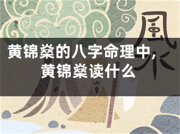 黄锦燊的八字命理中,黄锦燊读什么