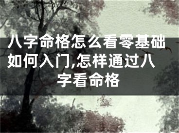 八字命格怎么看零基础如何入门,怎样通过八字看命格