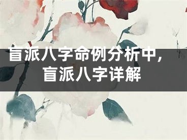 盲派八字命例分析中,盲派八字详解