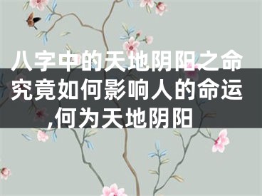 八字中的天地阴阳之命究竟如何影响人的命运,何为天地阴阳