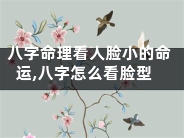 八字命理看人脸小的命运,八字怎么看脸型