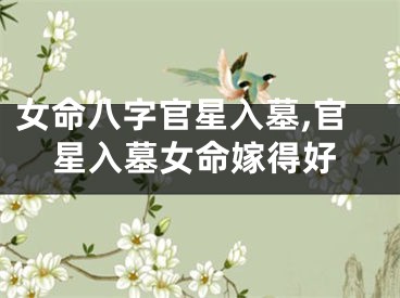 女命八字官星入墓,官星入墓女命嫁得好