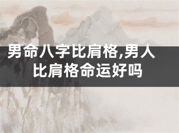 男命八字比肩格,男人比肩格命运好吗